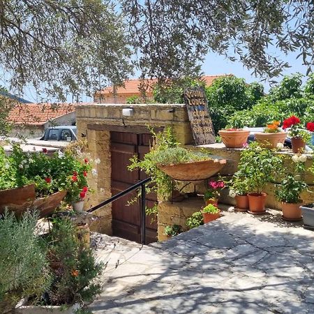 Vouni Lodge Εξωτερικό φωτογραφία