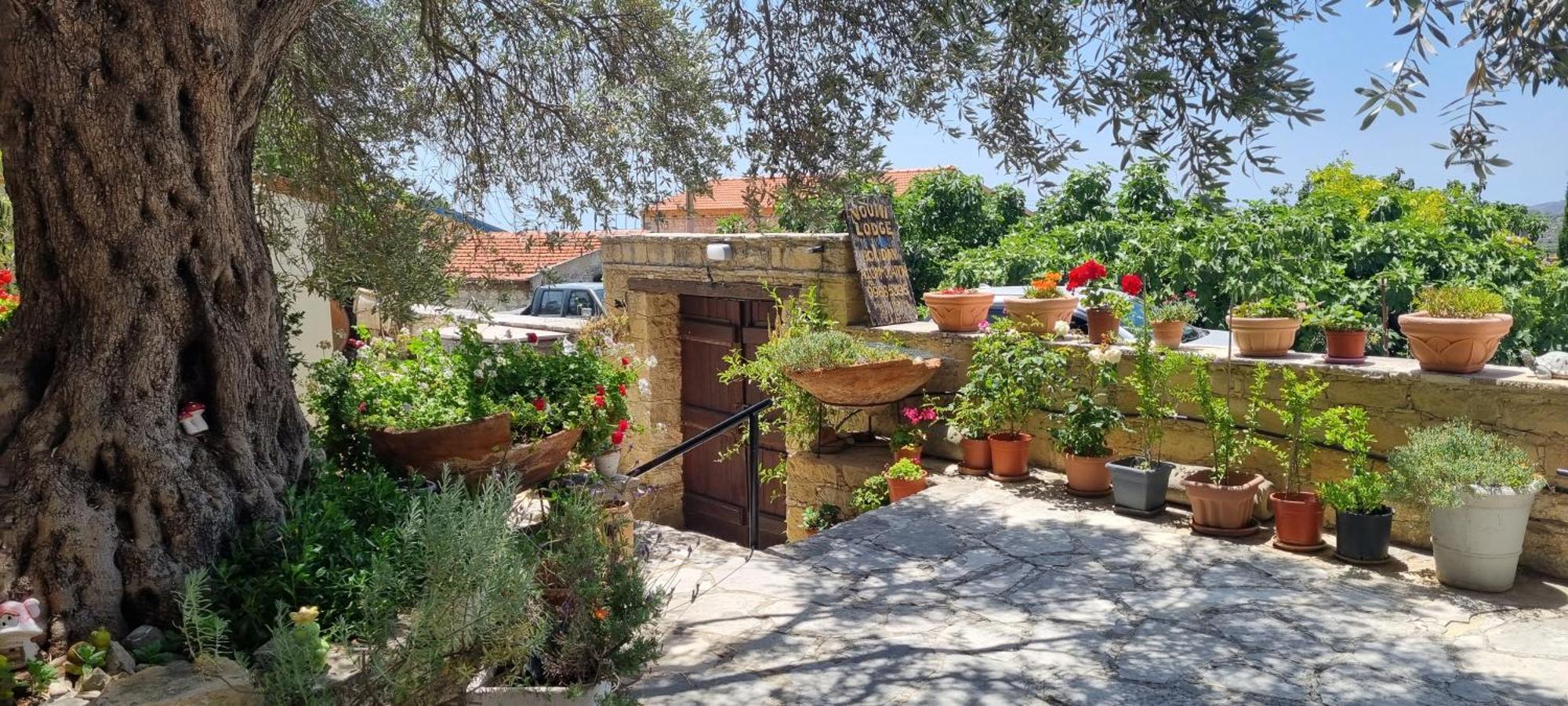 Vouni Lodge Εξωτερικό φωτογραφία