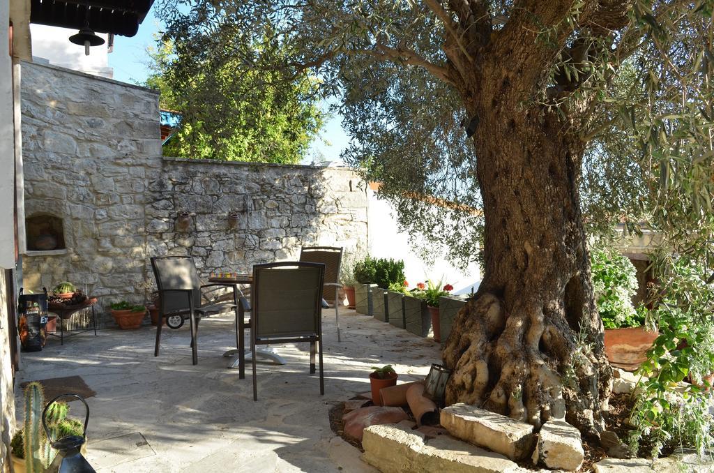 Vouni Lodge Εξωτερικό φωτογραφία